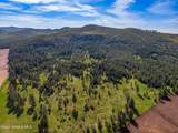 1101 Ruby Creek Rd - Photo 14