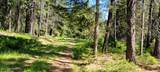 1015 Templeman Lake Rd - Photo 19