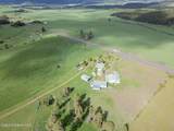 374484 Highway 95 - Photo 15