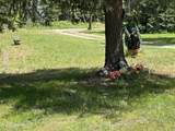 24601 Nikkoma Rd - Photo 2