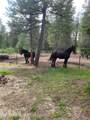24601 Nikkoma Rd - Photo 35