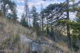 NNA Grizzly Gap Rd - Photo 11