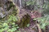 NNA Grizzly Gap Rd - Photo 13