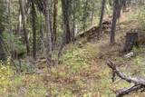 NNA Grizzly Gap Rd - Photo 14