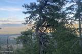 NNA Grizzly Gap Rd - Photo 25