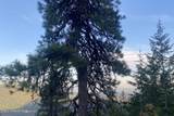 NNA Grizzly Gap Rd - Photo 26