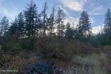 NNA Grizzly Gap Rd - Photo 27