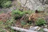 NNA Grizzly Gap Rd - Photo 29
