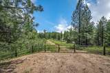 9067 Coeur D Alene Dr - Photo 11