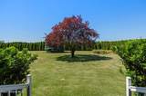 2411 Diamond Bar Rd - Photo 39