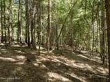 Lot 4 Brown Bear Dr - Photo 11