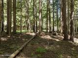 Lot 4 Brown Bear Dr - Photo 12