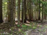 Lot 4 Brown Bear Dr - Photo 13