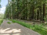 Lot 4 Brown Bear Dr - Photo 14