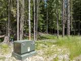 Lot 4 Brown Bear Dr - Photo 15