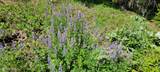 NNA S. Bobsled Trail - Photo 13
