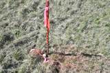 lot 1 Mundt Rd - Photo 9