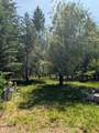 1807 Eileen Rd - Photo 15