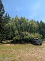 1807 Eileen Rd - Photo 16