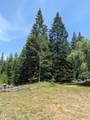 1807 Eileen Rd - Photo 17