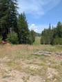 1807 Eileen Rd - Photo 28