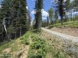928 Polaris Peak Rd - Photo 8