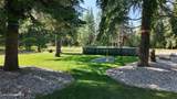 31435 Caravelle Rd - Photo 35