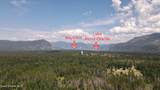 31435 Caravelle Rd - Photo 48