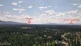 31435 Caravelle Rd - Photo 49