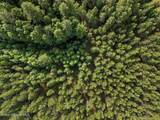 TBD Frosty Pines Trail - Photo 10