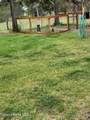 313 Doris Ln - Photo 6
