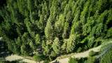 NKA Cohage Rd - Photo 5