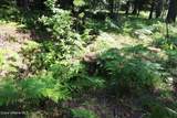 1615 Robinson Dr - Photo 21