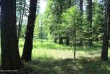 1615 Robinson Dr - Photo 25
