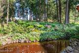 8562 Gozzer Rd - Photo 31
