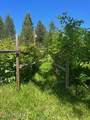 890 Pokey Creek Rd - Photo 10