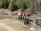 12412 St Joe River Rd - Photo 12