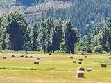 12412 St Joe River Rd - Photo 29