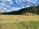 12412 St Joe River Rd - Photo 3