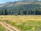 12412 St Joe River Rd - Photo 9