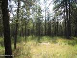 27736 Hayloft Rd - Photo 30