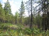 27736 Hayloft Rd - Photo 32