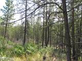 27736 Hayloft Rd - Photo 33