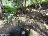 10ac Latour Creek Rd - Photo 6