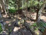 10ac Latour Creek Rd - Photo 7