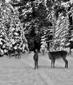 28 Katka Rd - Photo 31
