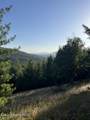 998 Lightning Peak Rd - Photo 45