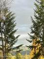 998 Lightning Peak Rd - Photo 53