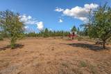 16136 Mountain View Rd - Photo 54