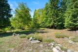 13259 Baldy Mtn Rd - Photo 48